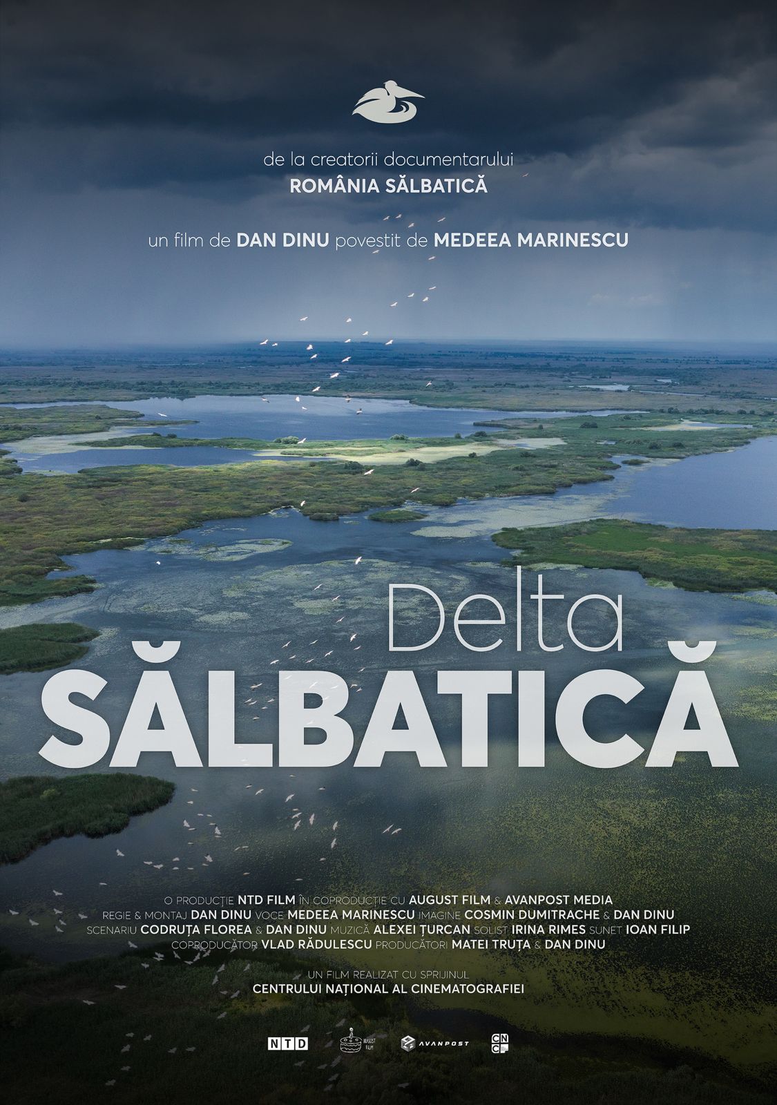 Read more about the article DELTA SALBATICA
